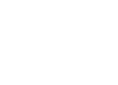 logo-dirt.webp